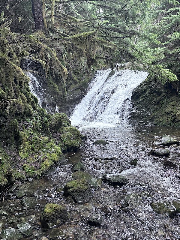 T. Rex Falls