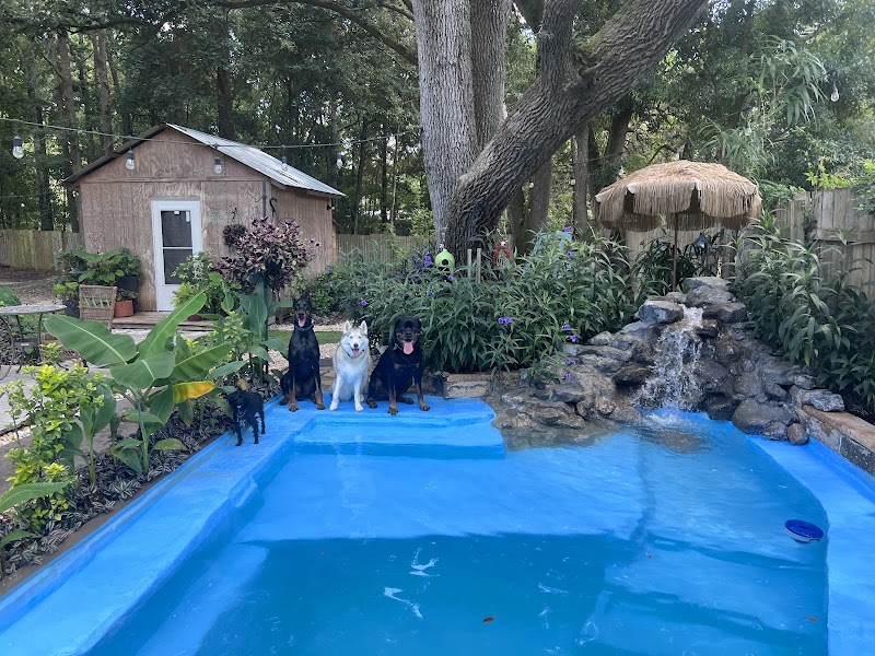 Wet -N -Wags private dog park