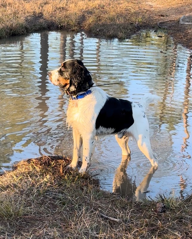 Hardscrabble Plantation