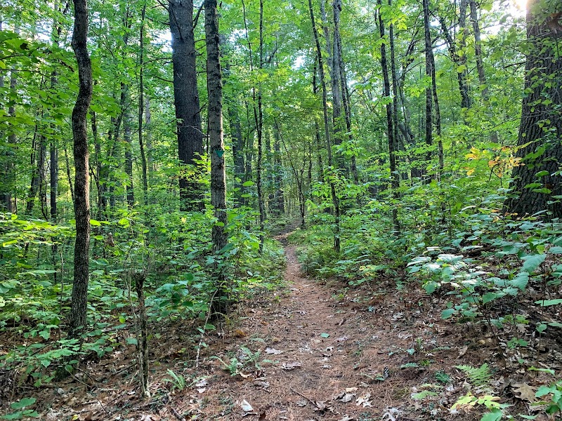 Musquash Conservation area. Musquash Rd parking area.