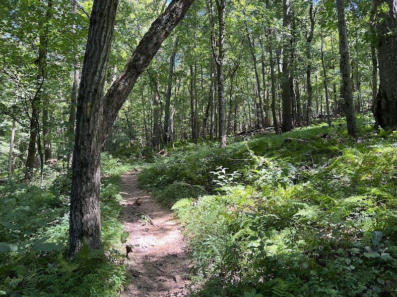 Gunpowder : Bunker Hill And Mingo Fork Loop