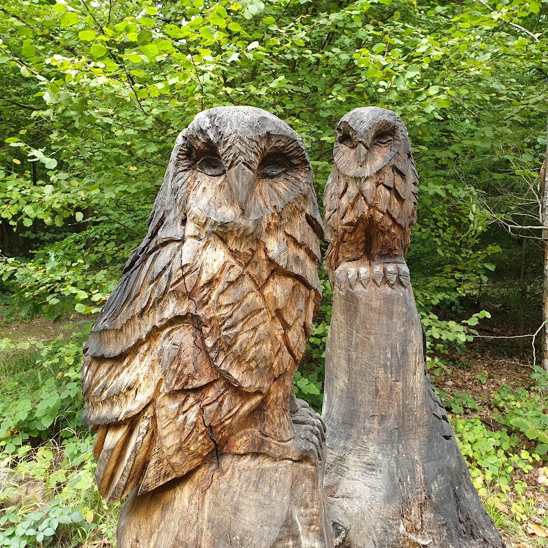 Pool of Linden Glade