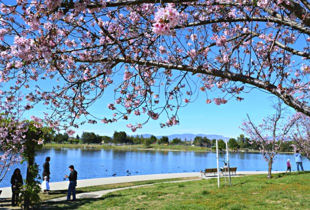 Lake Balboa/Anthony C. Beilenson Park