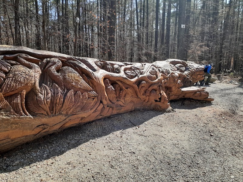 Umstead Sycamore Trail