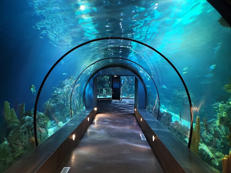 Moody Gardens Attractions Theme Park