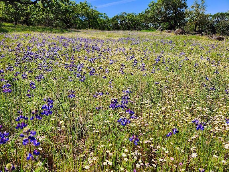Trione-Annadel State Park