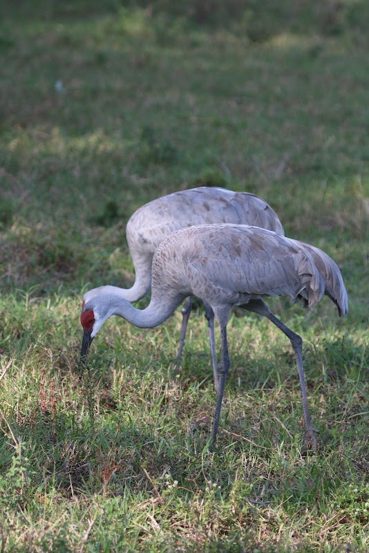 Coopers Point Nature Park
