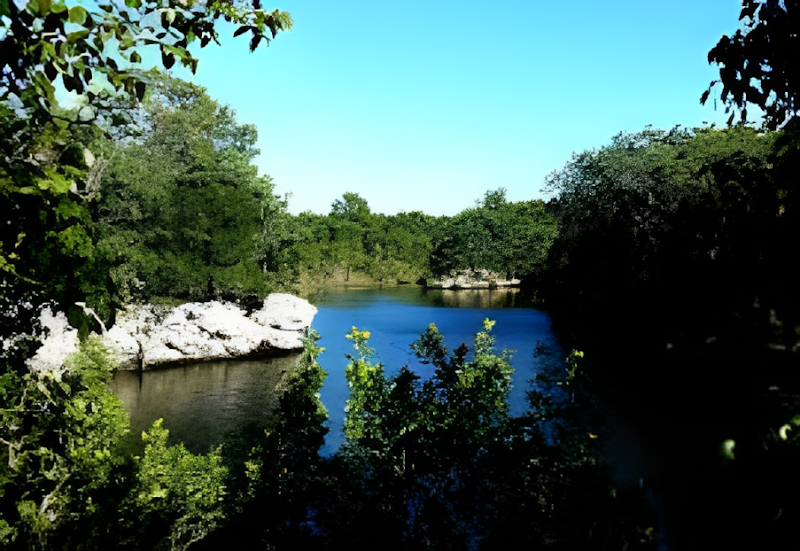 Dagny Johnson Key Largo Hammock Botanical State Park