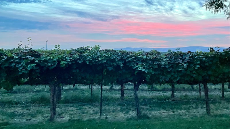 Barrel Springs Winery
