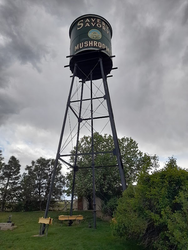Savery Savory Mushrooms Tower