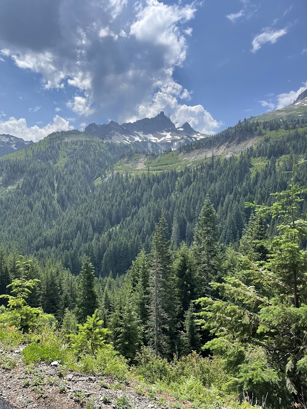 Mt. Rainier National Park Sign