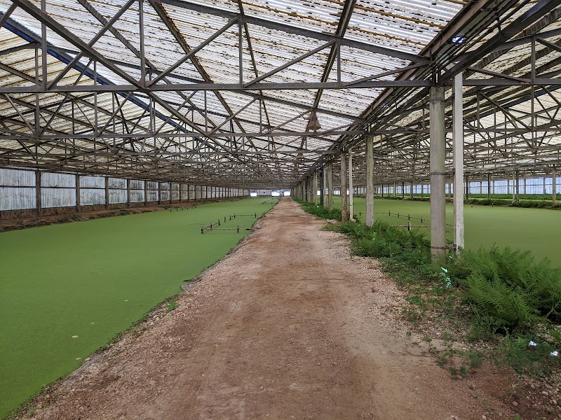 Hornsby Bend Bird Observatory