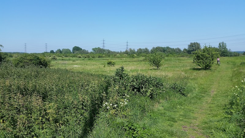 Rammey Marsh