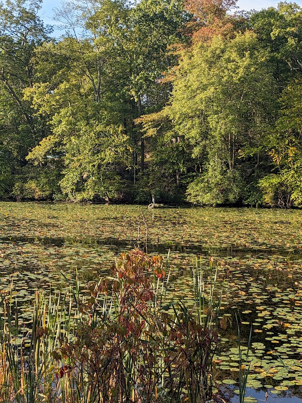 Roland-May Eves Mountain Inlet Sanctuary Parking