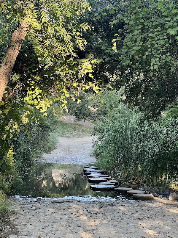 Santiago nature area steps