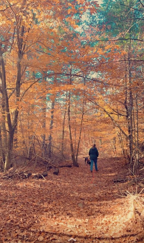 Freetown State Forest Headquarters