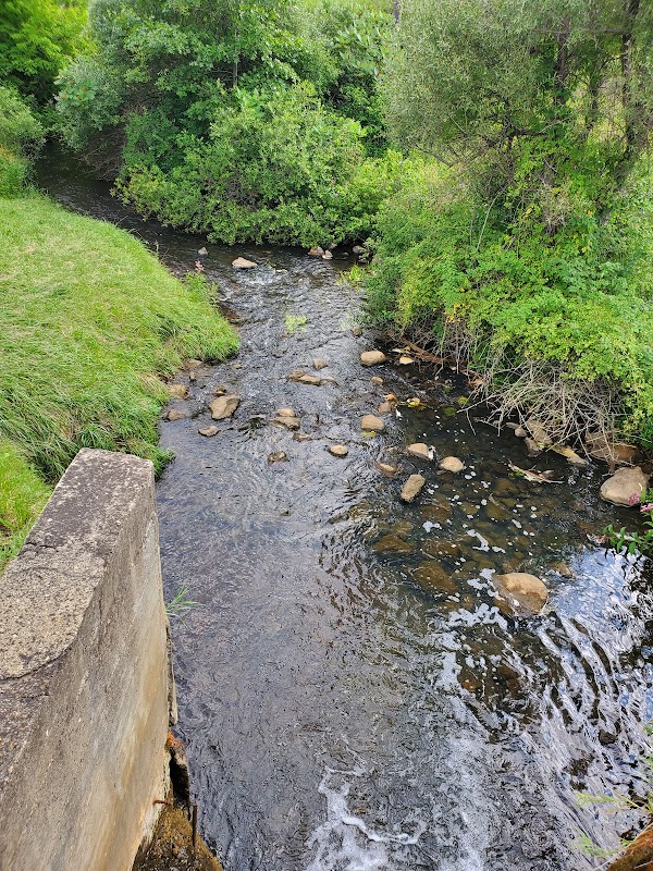 Project Green River