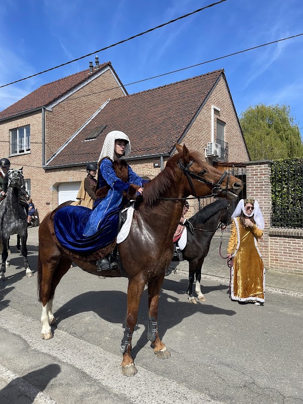Horses’ procession