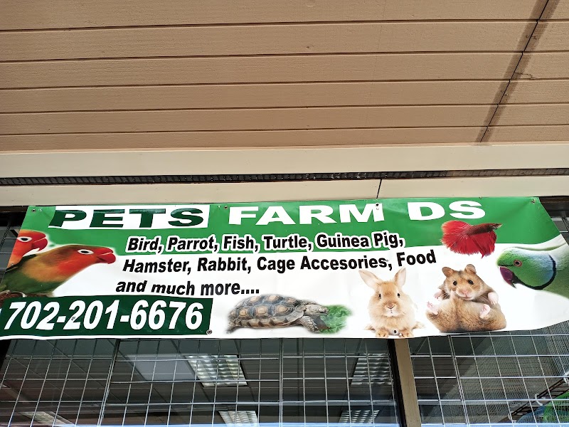 Pets Farm DS