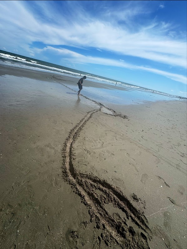 Isle of Palms Beach Access 14