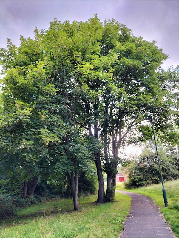 Greenway
