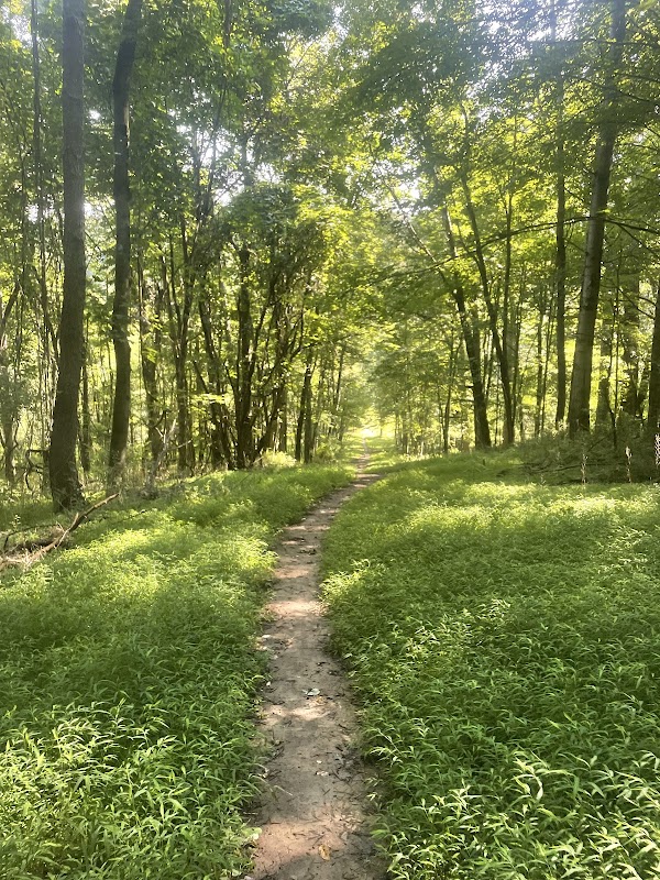 Nature Access Trail