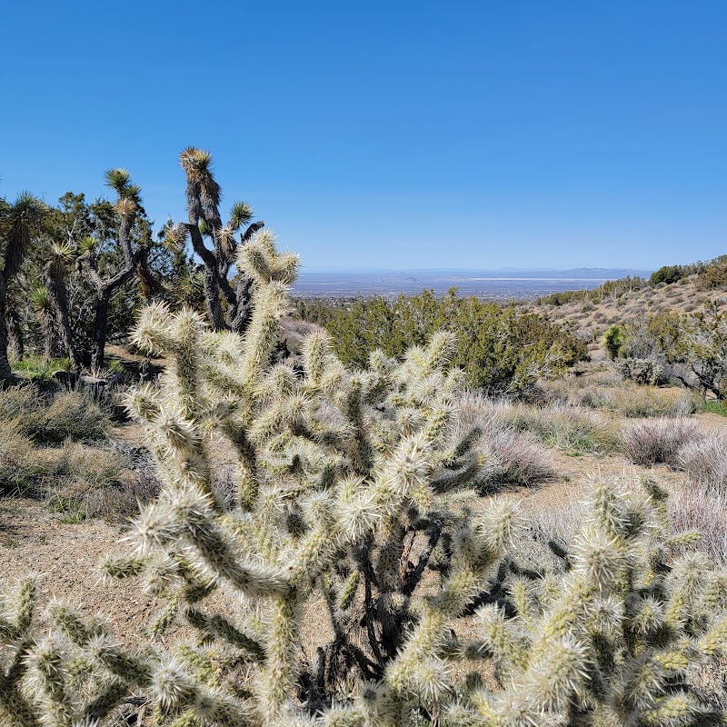 Puma Canyon Ecological Reserve