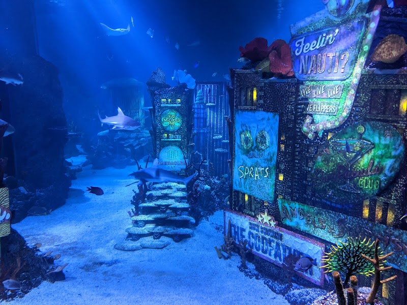 SEA LIFE New Jersey Aquarium