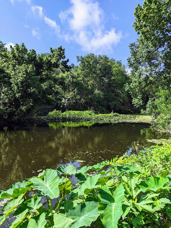 Salado Creek Park