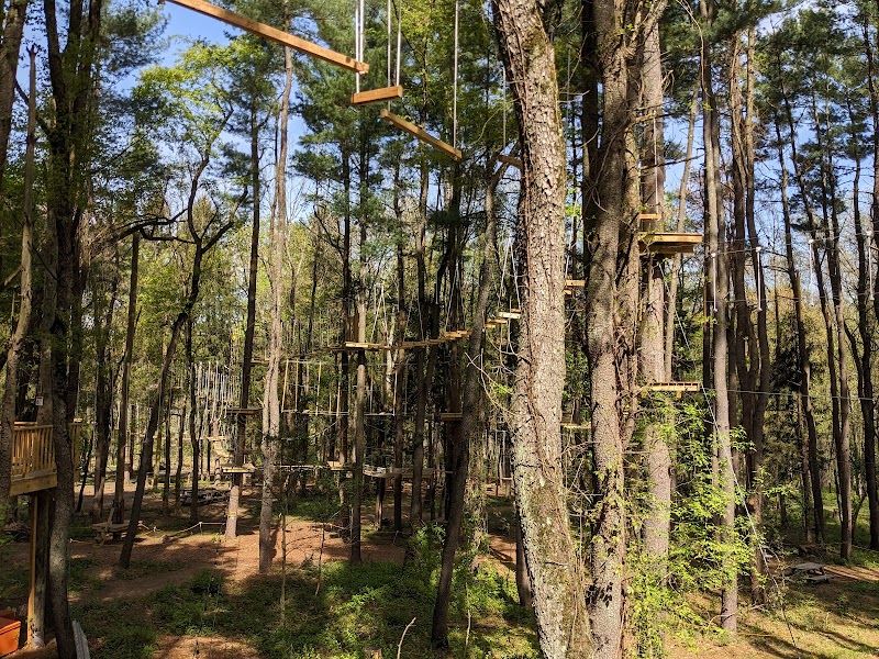 TreeTrails Adventures Trevose