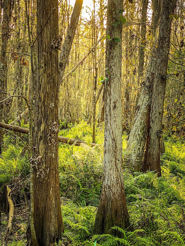 Shingle Creek Trailhead