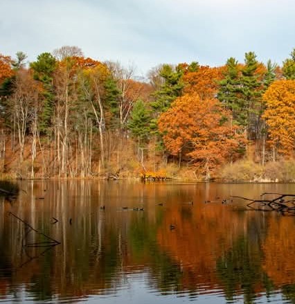 Durand Eastman Park