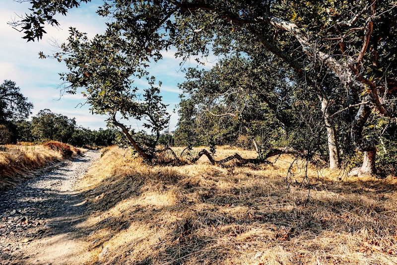 Arroyo Trabuco Trail - O'Neill Regional Park