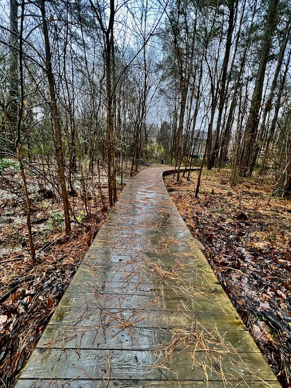 Blue Heron Nature Preserve - Land O Lakes