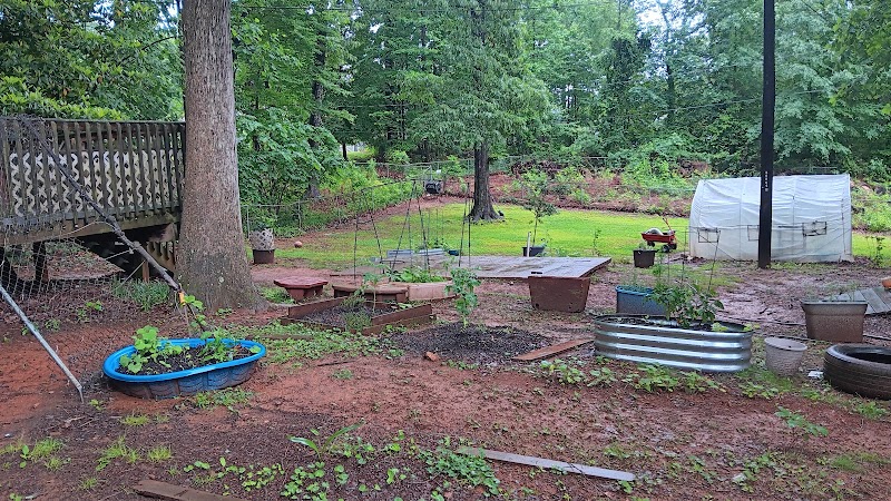 TOADCREEK BROADCASTING SYSTEM NC