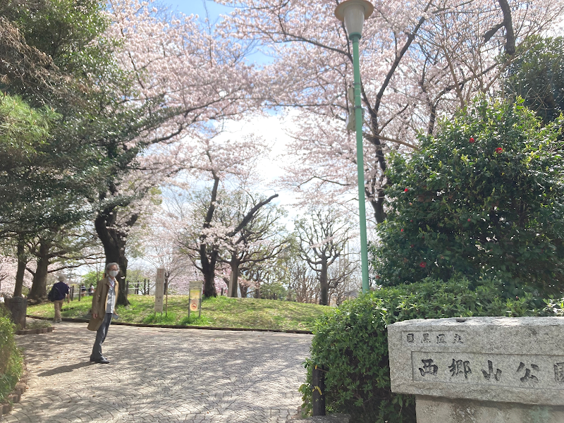 Saigōyama Park