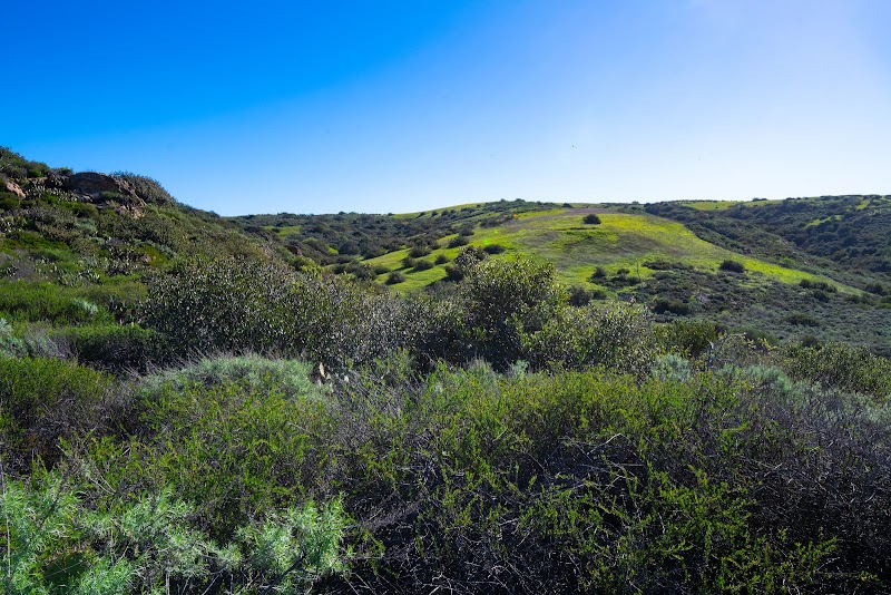 Bommer Vista Trailhead