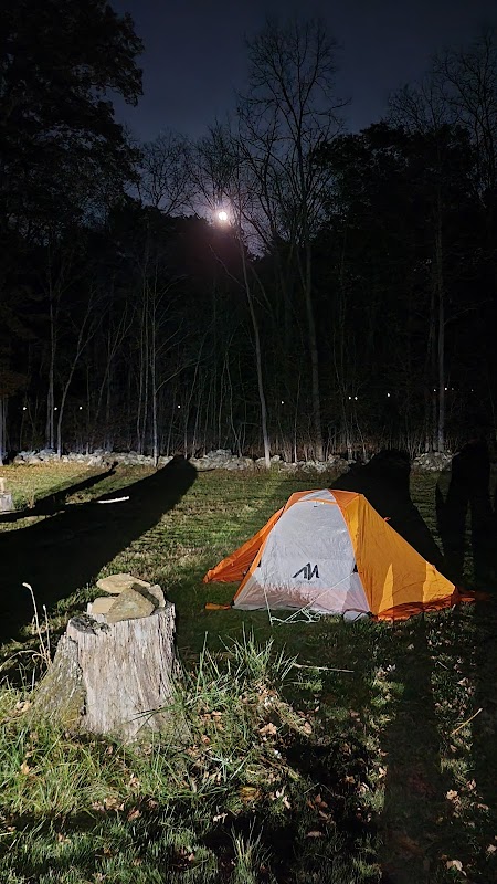 JN Webster Perregaux Cabin