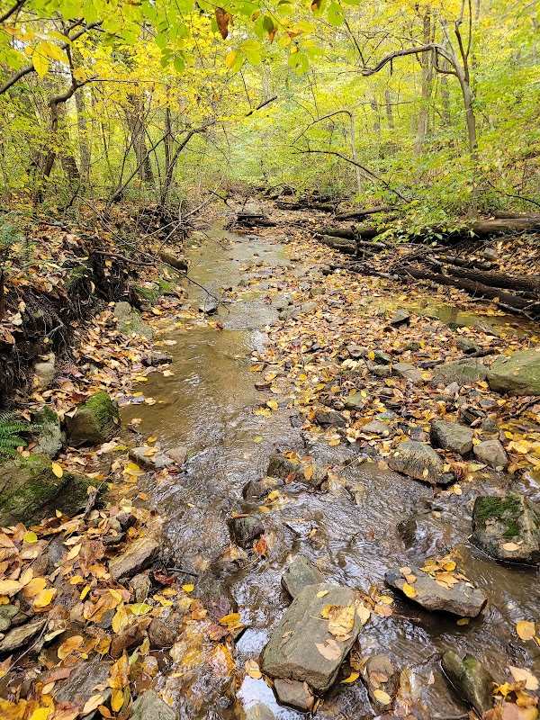 Texter Mountain Preserve