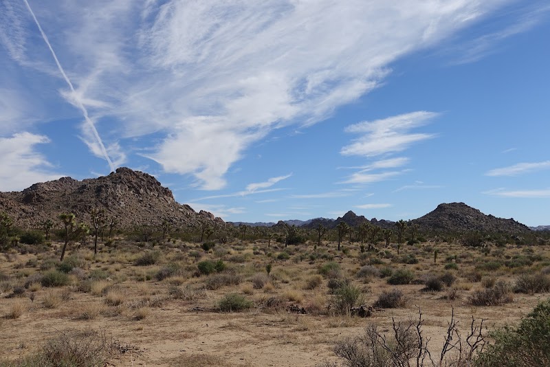 Maze Loop Trail