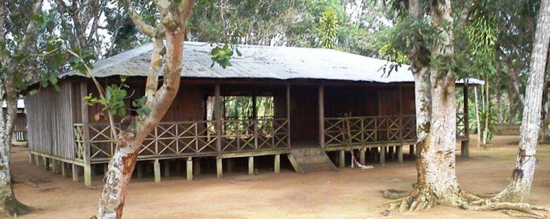 Ekobius International (US Office)