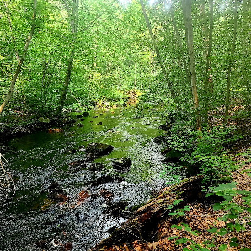 Aspetuck Park Trail