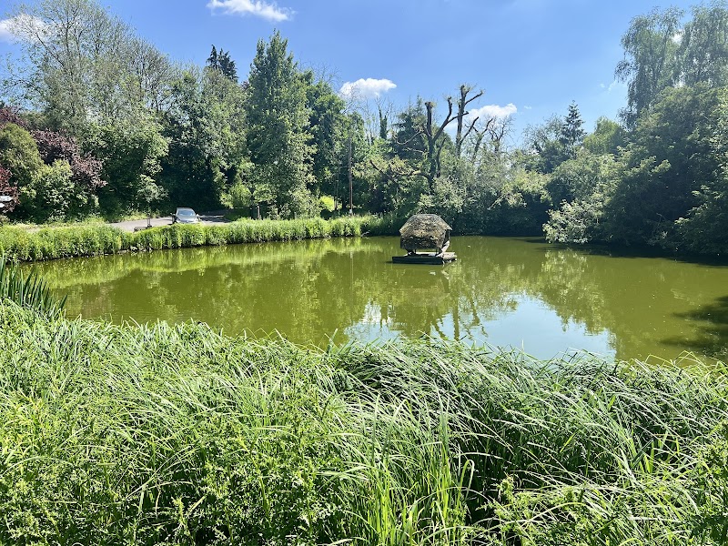 Crawley Duck Pond & Duck Hotel