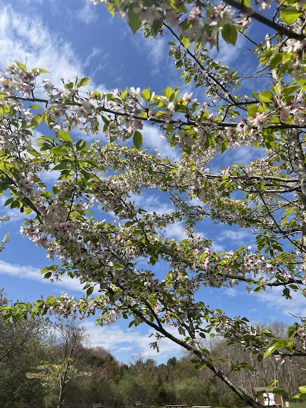 SOUTH SETAUKET PARK