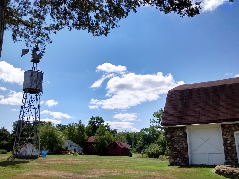 Morsetown Brook Wetland Preserve