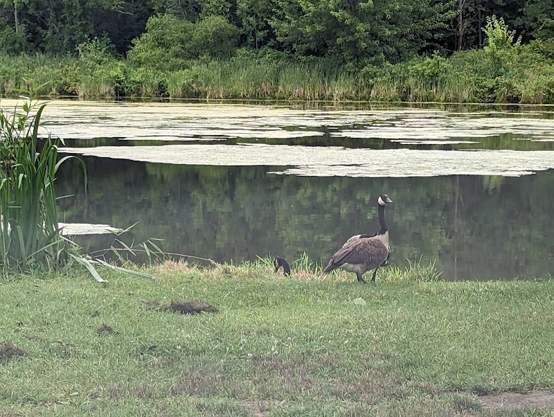 Churchville Park Boat Launch