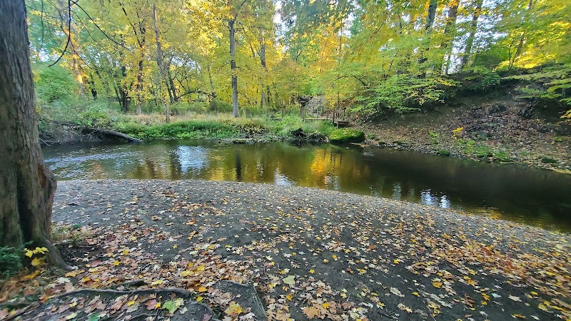 Forest Beach at Hopewell Rec