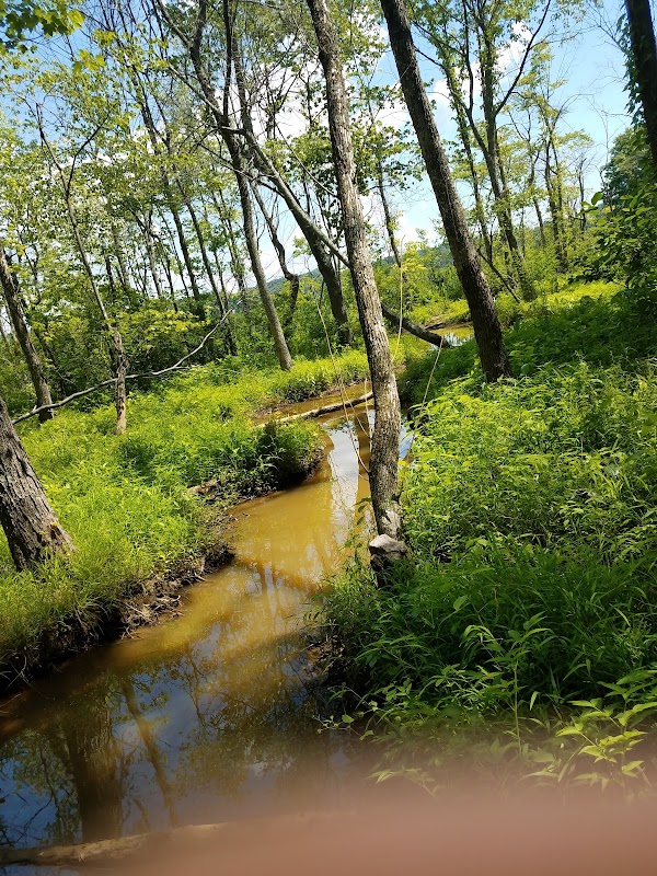 Julie J. Metz Neabsco Creek Wetlands Preserve