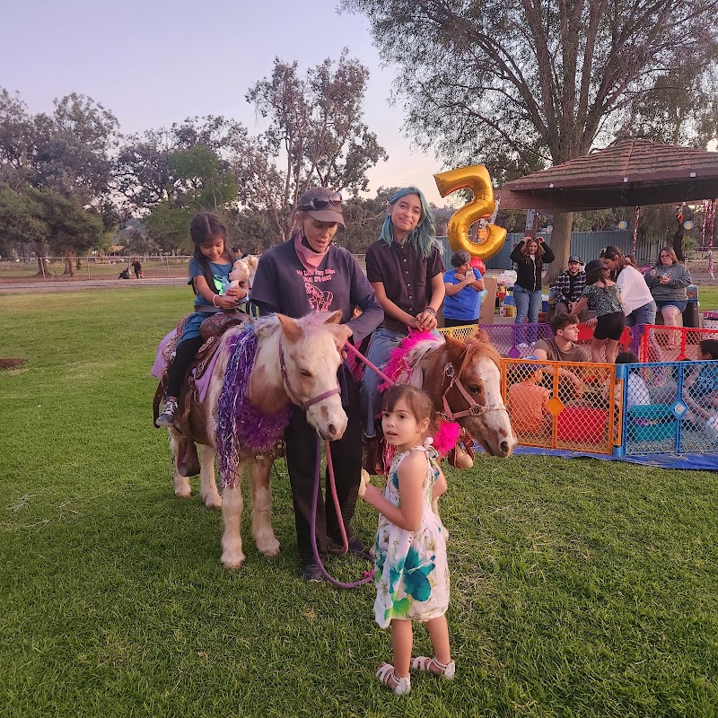 My Little Pony Rides