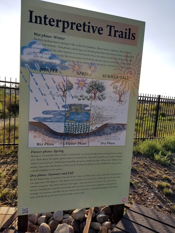 Miramar College Vernal Pools